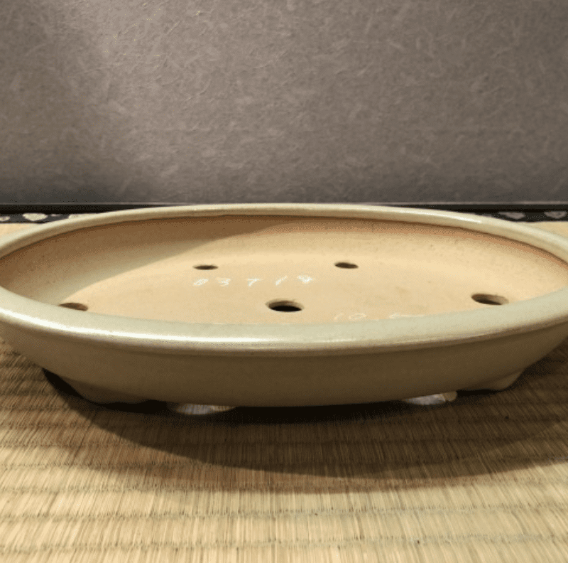 Maceta de Japón. Reiho no. EA0289