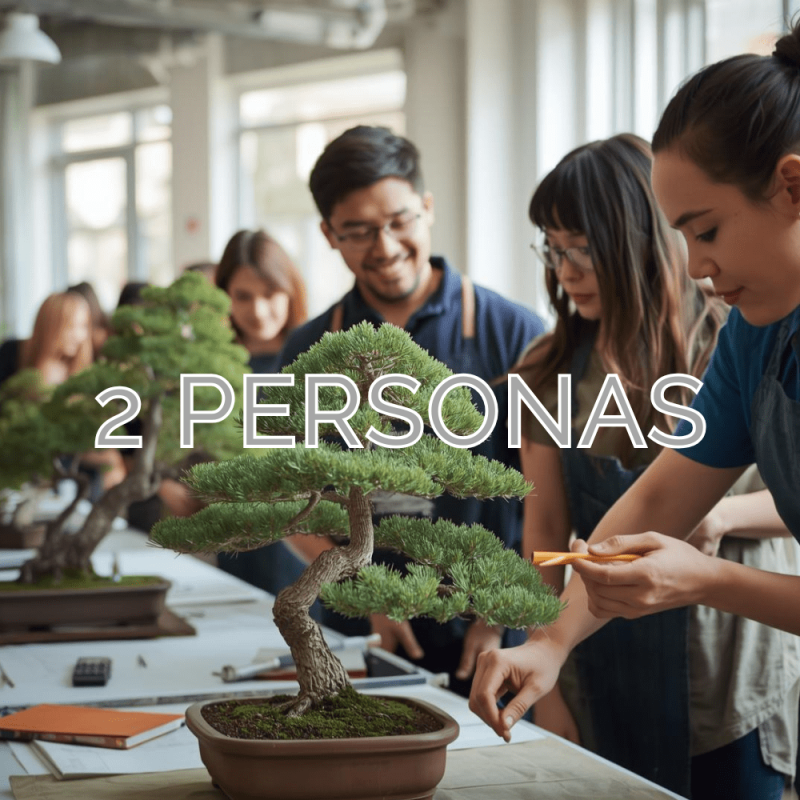 Clase de Bonsái para 2 personas