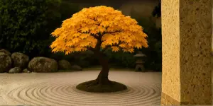 bonsai otoño 3 - Hanasu Bonsai